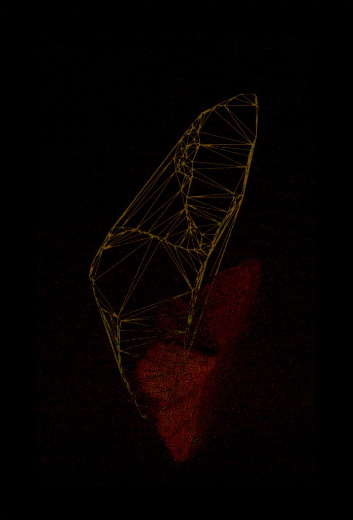 Moth redrawn using hough lines & Delaunay Triangulation.