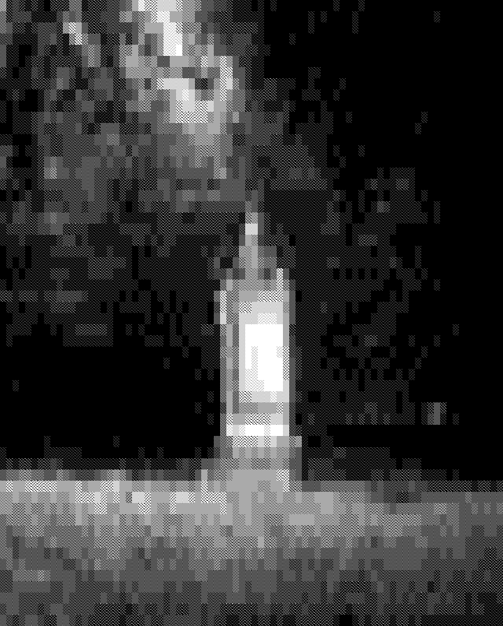 ANSI art of the Sand Drift Monument in Tisvilde: a pale stone pillar in dark woods, above a field of grass, rendered in gray shade blocks.